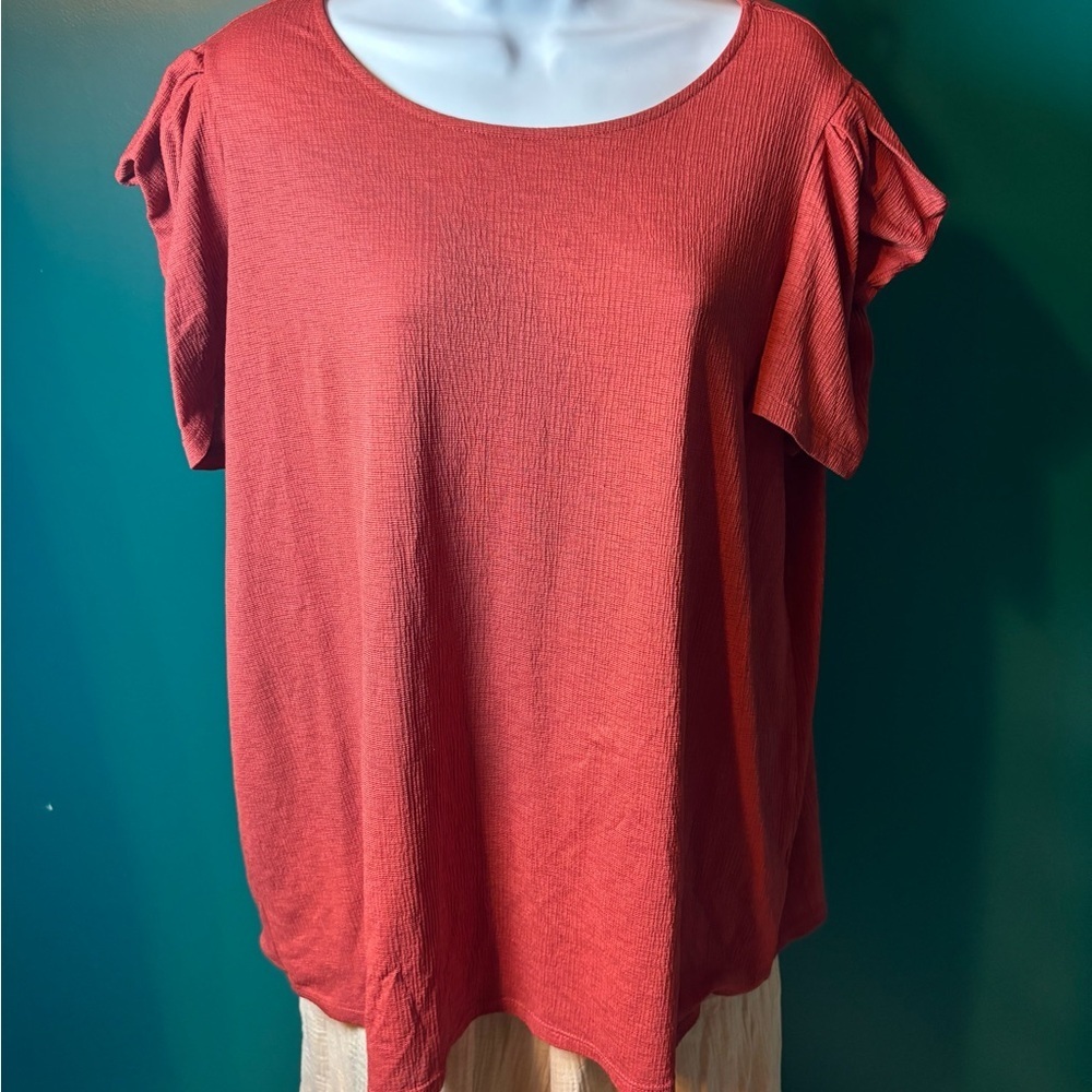 Ava James Casual Rust Red Short Sleeve Top